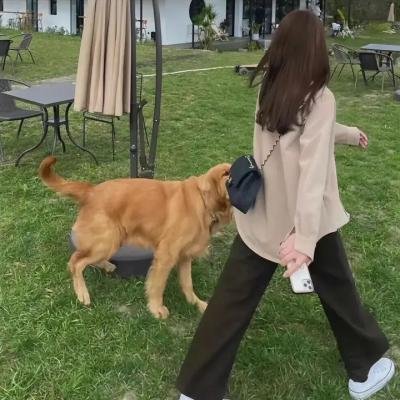 艳照疑云
